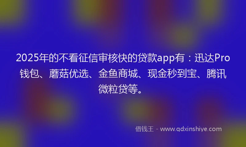 2025年的不看征信审核快的贷款app有：迅达Pro钱包、蘑菇优选、金鱼商城、现金秒到宝、腾讯微粒贷等。