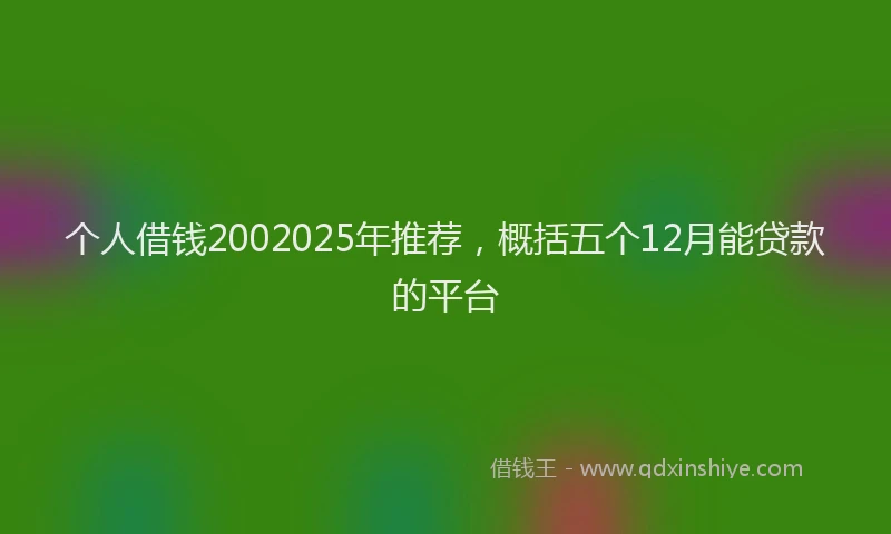 个人借钱2002025年推荐，概括五个12月能贷款的平台