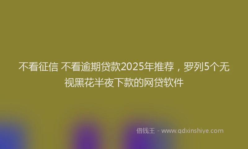不看征信 不看逾期贷款2025年推荐，罗列5个无视黑花半夜下款的网贷软件
