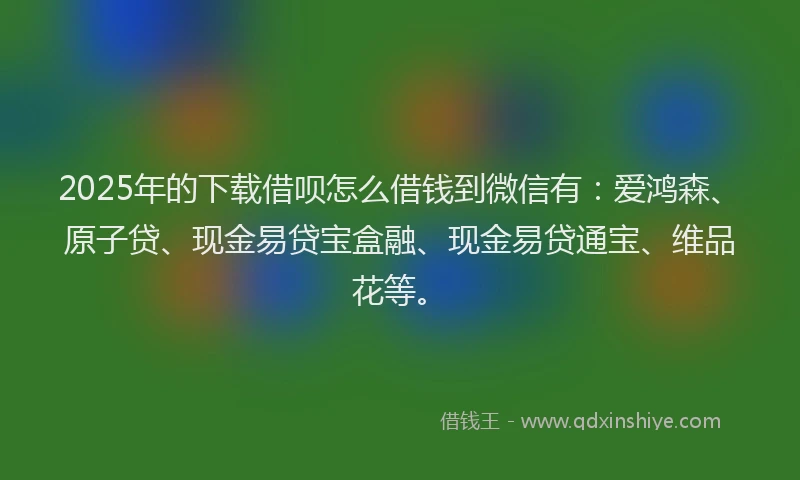 2025年的下载借呗怎么借钱到微信有：爱鸿森、原子贷、现金易贷宝盒融、现金易贷通宝、维品花等。