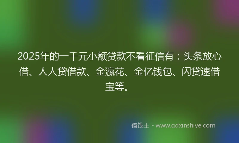 2025年的一千元小额贷款不看征信有：头条放心借、人人贷借款、金瀛花、金亿钱包、闪贷速借宝等。