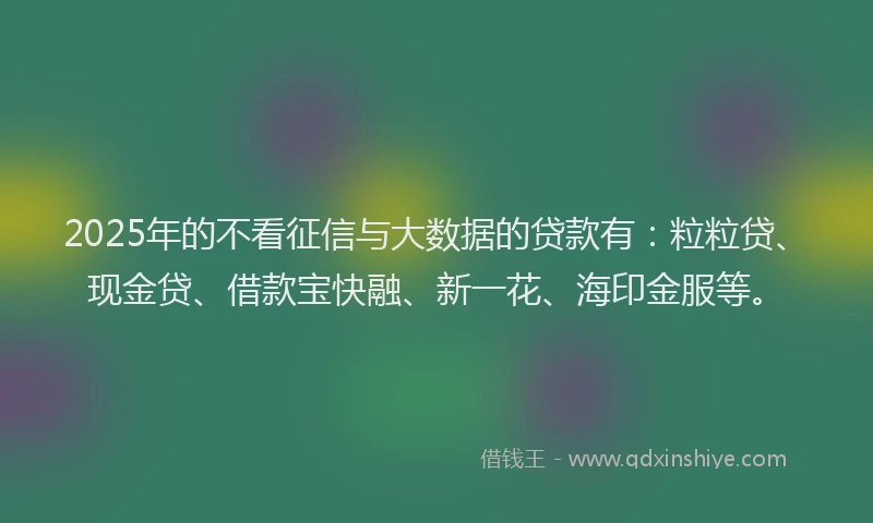 2025年的不看征信与大数据的贷款有：粒粒贷、现金贷、借款宝快融、新一花、海印金服等。