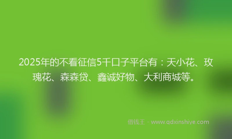 2025年的不看征信5千口子平台有：天小花、玫瑰花、森森贷、鑫诚好物、大利商城等。