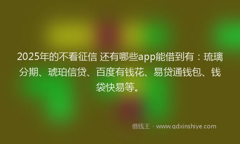 2025年的不看征信 还有哪些app能借到有：琉璃分期、琥珀信贷、百度有钱花、易贷通钱包、钱袋快易等。