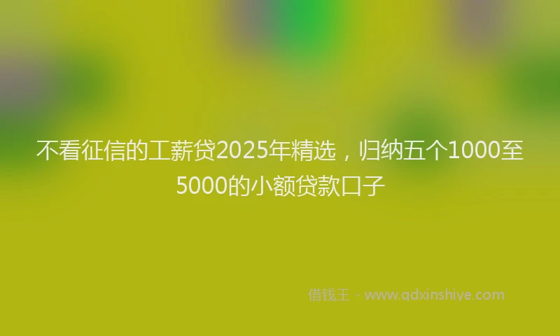 不看征信的工薪贷2025年精选，归纳五个1000至5000的小额贷款口子