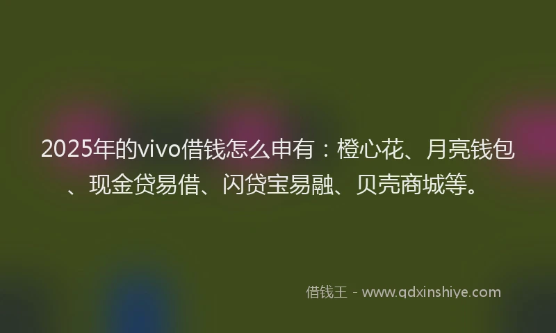 2025年的vivo借钱怎么申有：橙心花、月亮钱包、现金贷易借、闪贷宝易融、贝壳商城等。