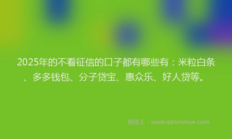 2025年的不看征信的口子都有哪些有：米粒白条、多多钱包、分子贷宝、惠众乐、好人贷等。