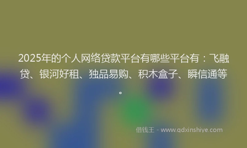 2025年的个人网络贷款平台有哪些平台有：飞融贷、银河好租、独品易购、积木盒子、瞬信通等。