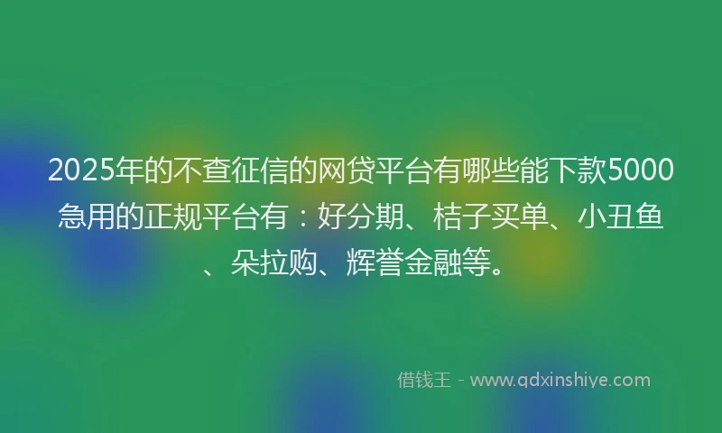 2025年的不查征信的网贷平台有哪些能下款5000急用的正规平台有：好分期、桔子买单、小丑鱼、朵拉购、辉誉金融等。
