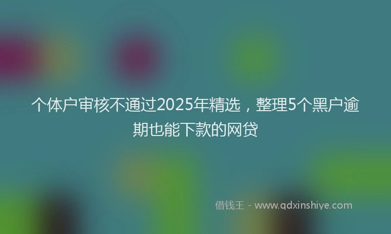 个体户审核不通过2025年精选，整理5个黑户逾期也能下款的网贷