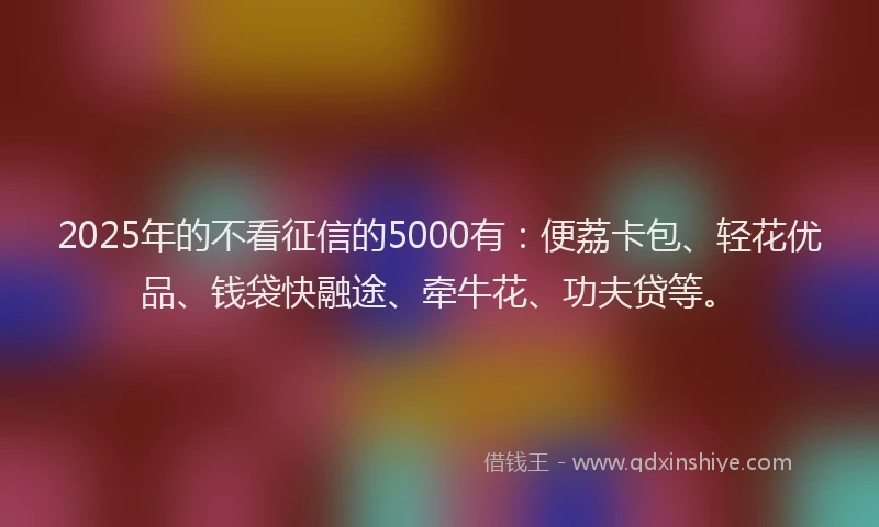 2025年的不看征信的5000有：便荔卡包、轻花优品、钱袋快融途、牵牛花、功夫贷等。