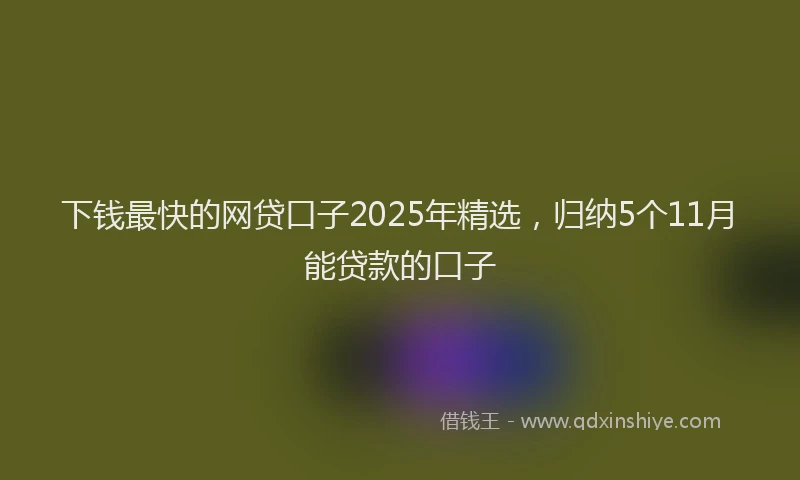 下钱最快的网贷口子2025年精选，归纳5个11月能贷款的口子