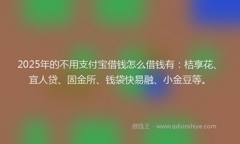 2025年的不用支付宝借钱怎么借钱有：桔享花、宜人贷、固金所、钱袋快易融、小金豆等。