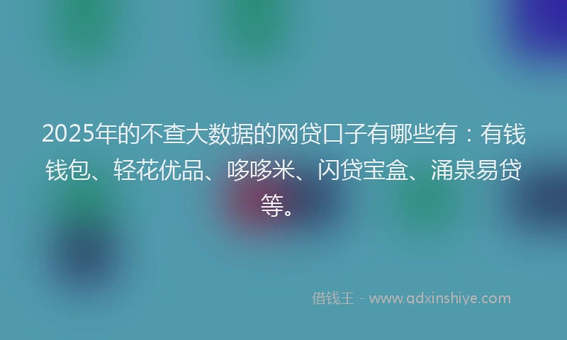 2025年的不查大数据的网贷口子有哪些有：有钱钱包、轻花优品、哆哆米、闪贷宝盒、涌泉易贷等。