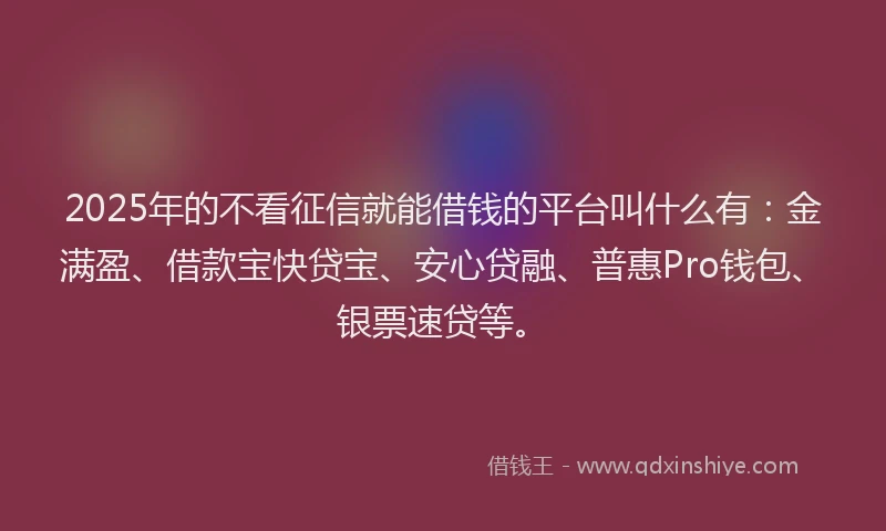 2025年的不看征信就能借钱的平台叫什么有：金满盈、借款宝快贷宝、安心贷融、普惠Pro钱包、银票速贷等。