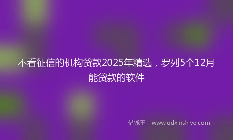 不看征信的机构贷款2025年精选，罗列5个12月能贷款的软件