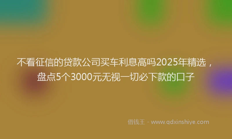 不看征信的贷款公司买车利息高吗2025年精选，盘点5个3000元无视一切必下款的口子