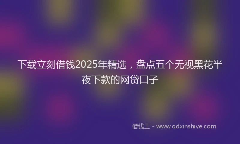 下载立刻借钱2025年精选，盘点五个无视黑花半夜下款的网贷口子