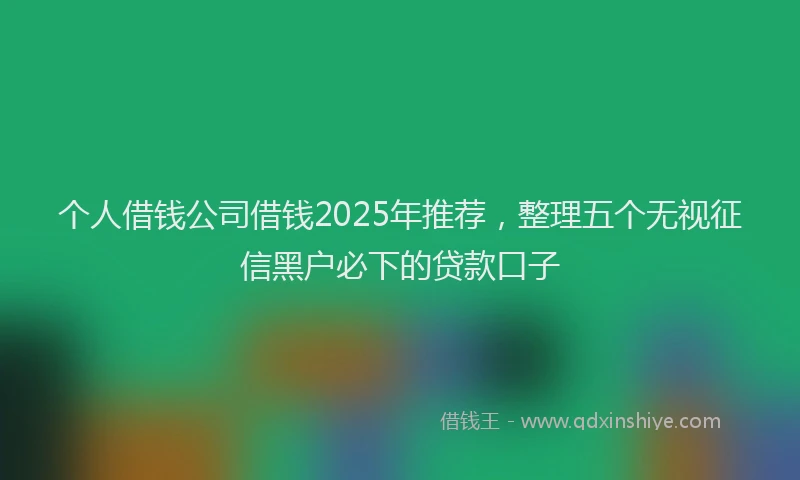 个人借钱公司借钱2025年推荐，整理五个无视征信黑户必下的贷款口子