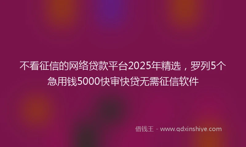 不看征信的网络贷款平台2025年精选，罗列5个急用钱5000快审快贷无需征信软件
