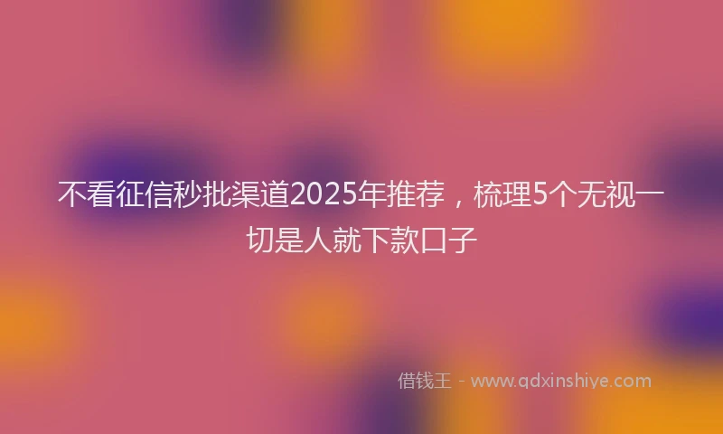 不看征信秒批渠道2025年推荐,梳理5个无视一切是人就下款口子