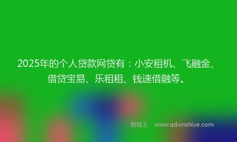 2025年的个人贷款网贷有：小安租机、飞融金、借贷宝易、乐租租、钱速借融等。