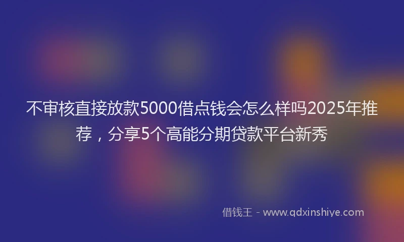 不审核直接放款5000借点钱会怎么样吗2025年推荐，分享5个高能分期贷款平台新秀