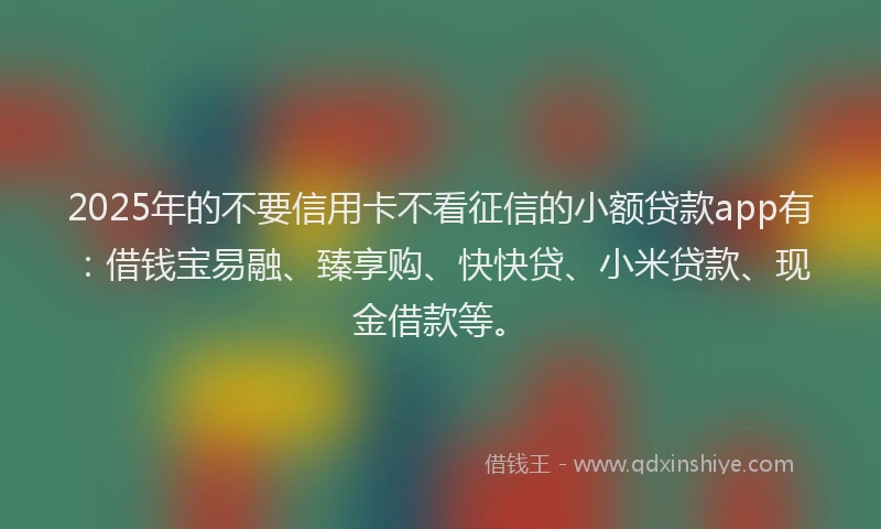 2025年的不要信用卡不看征信的小额贷款app有：借钱宝易融、臻享购、快快贷、小米贷款、现金借款等。