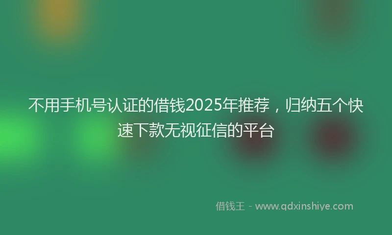 不用手机号认证的借钱2025年推荐，归纳五个快速下款无视征信的平台