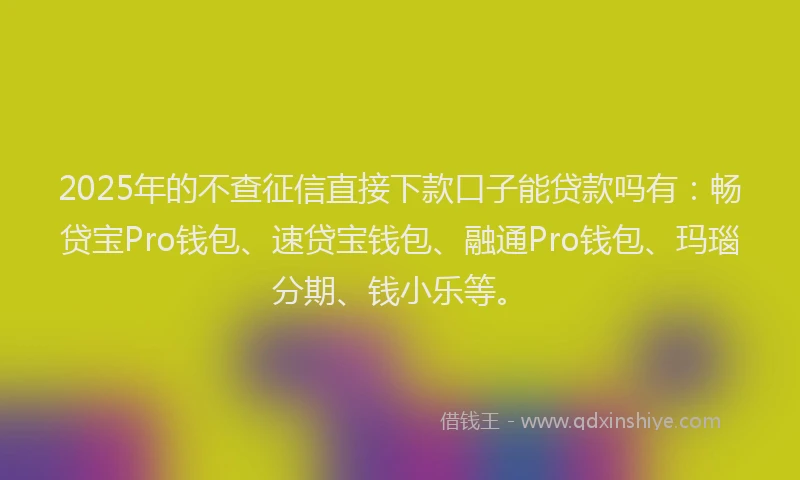 2025年的不查征信直接下款口子能贷款吗有：畅贷宝Pro钱包、速贷宝钱包、融通Pro钱包、玛瑙分期、钱小乐等。