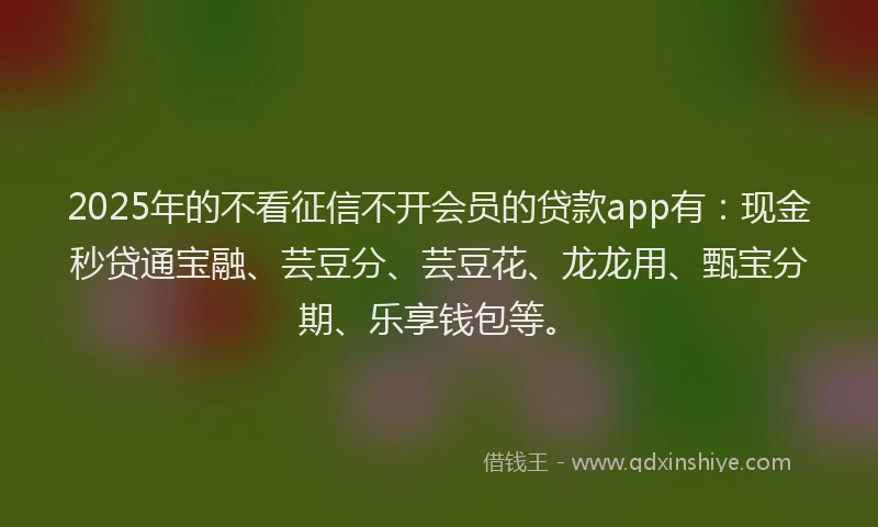2025年的不看征信不开会员的贷款app有：现金秒贷通宝融、芸豆分、芸豆花、龙龙用、甄宝分期、乐享钱包等。