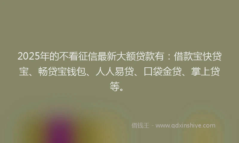 2025年的不看征信最新大额贷款有：借款宝快贷宝、畅贷宝钱包、人人易贷、口袋金贷、掌上贷等。