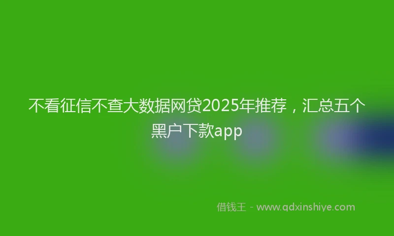 不看征信不查大数据网贷2025年推荐，汇总五个黑户下款app