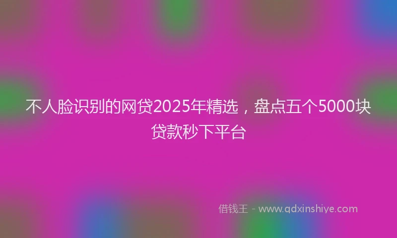 不人脸识别的网贷2025年精选，盘点五个5000块贷款秒下平台