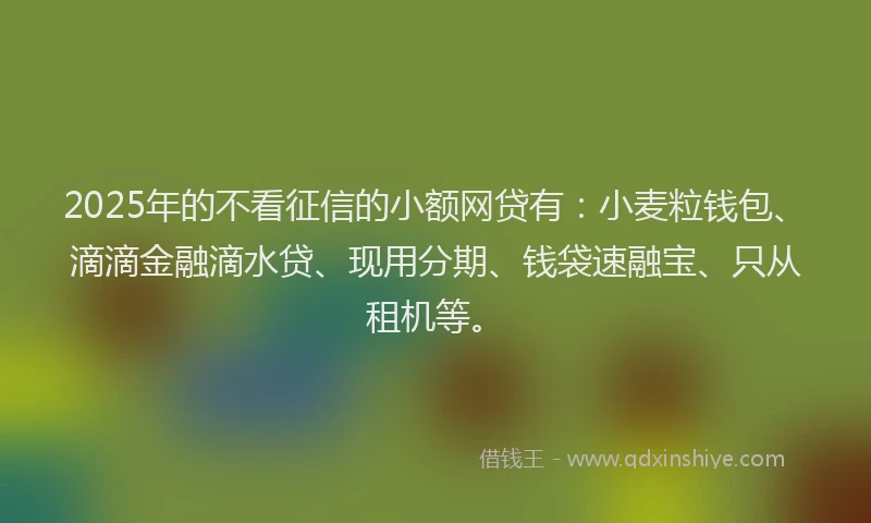 2025年的不看征信的小额网贷有：小麦粒钱包、滴滴金融滴水贷、现用分期、钱袋速融宝、只从租机等。