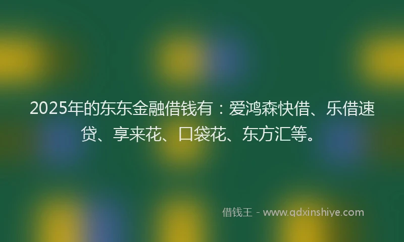 2025年的东东金融借钱有：爱鸿森快借、乐借速贷、享来花、口袋花、东方汇等。