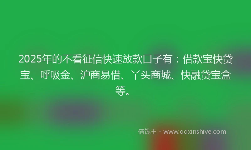 2025年的不看征信快速放款口子有：借款宝快贷宝、呼吸金、沪商易借、丫头商城、快融贷宝盒等。