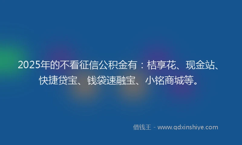 2025年的不看征信公积金有：桔享花、现金站、快捷贷宝、钱袋速融宝、小铭商城等。