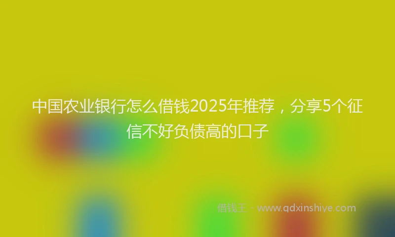 中国农业银行怎么借钱2025年推荐，分享5个征信不好负债高的口子