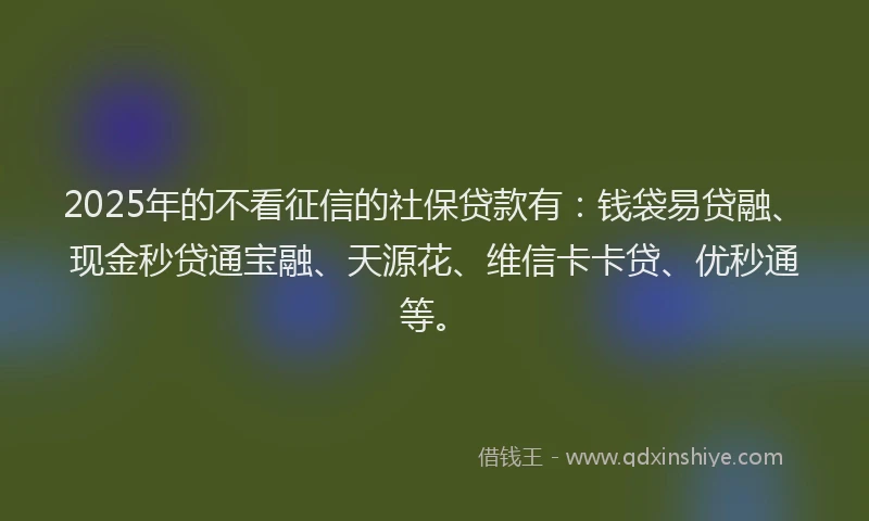 2025年的不看征信的社保贷款有：钱袋易贷融、现金秒贷通宝融、天源花、维信卡卡贷、优秒通等。