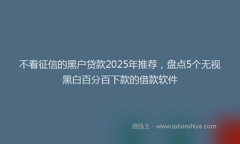不看征信的黑户贷款2025年推荐，盘点5个无视黑白百分百下款的借款软件
