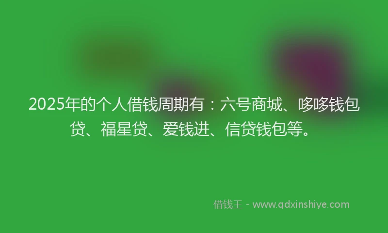 2025年的个人借钱周期有：六号商城、哆哆钱包贷、福星贷、爱钱进、信贷钱包等。
