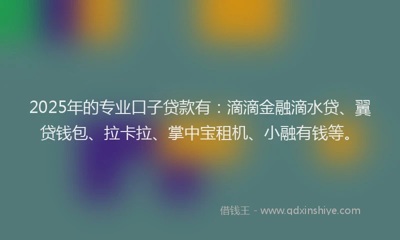 2025年的专业口子贷款有：滴滴金融滴水贷、翼贷钱包、拉卡拉、掌中宝租机、小融有钱等。