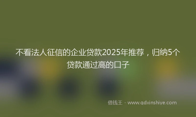 不看法人征信的企业贷款2025年推荐，归纳5个贷款通过高的口子