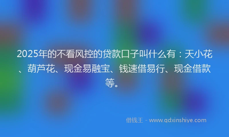 2025年的不看风控的贷款口子叫什么有：天小花、葫芦花、现金易融宝、钱速借易行、现金借款等。