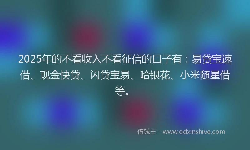 2025年的不看收入不看征信的口子有：易贷宝速借、现金快贷、闪贷宝易、哈银花、小米随星借等。