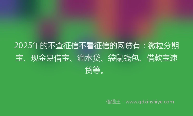 2025年的不查征信不看征信的网贷有：微粒分期宝、现金易借宝、滴水贷、袋鼠钱包、借款宝速贷等。