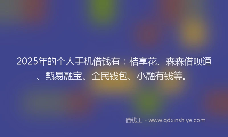 2025年的个人手机借钱有：桔享花、森森借呗通、甄易融宝、全民钱包、小融有钱等。