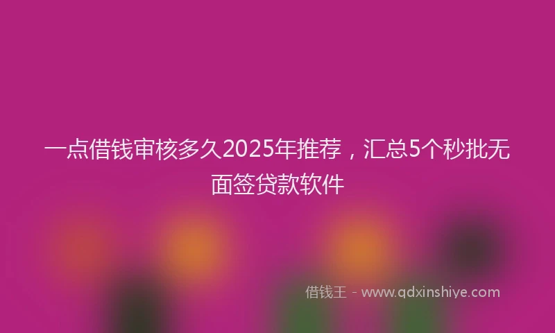 一点借钱审核多久2025年推荐，汇总5个秒批无面签贷款软件