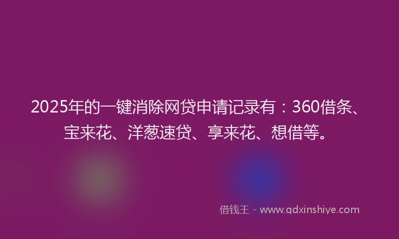 2025年的一键消除网贷申请记录有：360借条、宝来花、洋葱速贷、享来花、想借等。